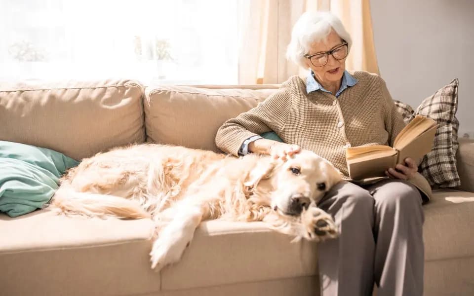 Senior woman sitting on a sofa with a golden retriever and reading a book