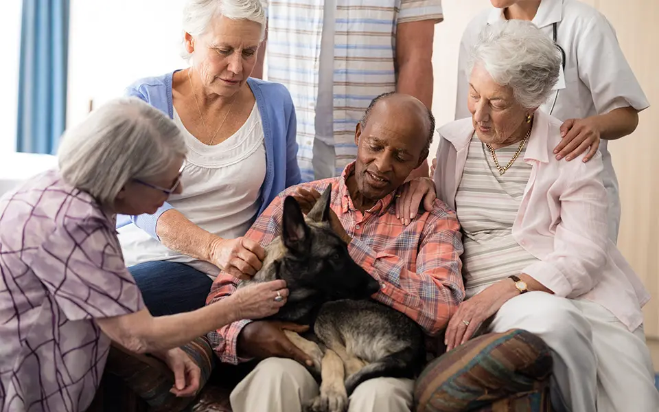 Senior people with doctor stroking dog while sitting on couch
